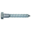 100-Pk., 1/4x5-In. Lag Bolt